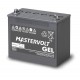 Batteria al gel MVG 12/55 - 12V 55Ah