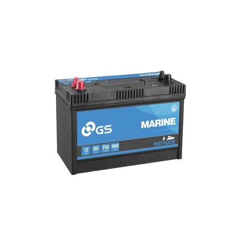 DS NAUTICA Batteria Yuasa Gs da 12V/100Ah - 750A