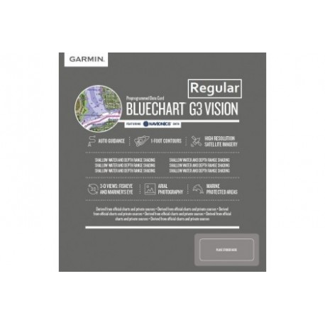 G3 Vision (microSD-SD) 